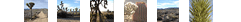 Landscape thumbnails 1